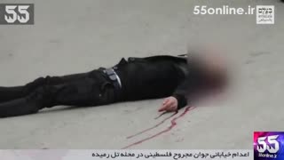 اعدام خیابانی جوان مجروح فلسطینی در محله تل رمیده