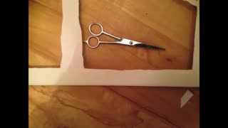 تابلو با شاخه درخت