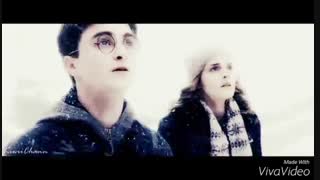 hermione,harry,peter