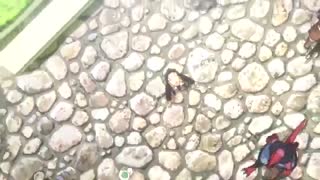 تریلر دوم انیمه بهاری Re:ZERO!