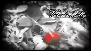 اما واتسون و اما استون