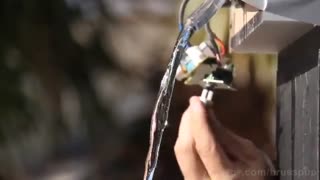 تاثیر صوت بر آب