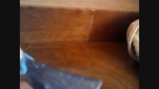 عروسک السای شب نمای من