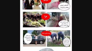 بیچاره گوسفندا خخخ......