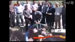 سوتی های تلویزیون