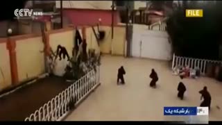 داعش به زبان آمار