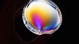 Color-changing polymer may signal traumatic brain injuries in soldiers, athletes