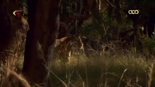 مستند شکار با دوبله فارسی - قسمت سوم