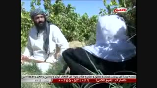 نمایش حق تازیانه