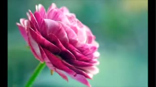 ساعتی با آوای زنده یاد جهان‬‏ - YouTube