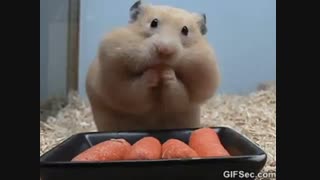 جووؤووون عشق .   (چنتا خورد(　･ั₃･ั )