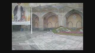 قربون کبوترای حرمت امام رضا