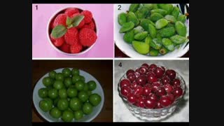 الان دلت کودومشو می خواد؟