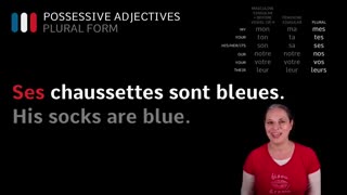French Possessive Adjectives (Plural) 3