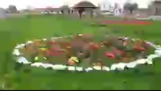 برنامه فیزیکی پارک