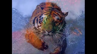 نمونه کار برنامه ProShow Slideshow