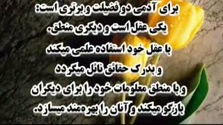 عقل و منطق دو فضیلت انسان