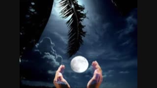 ماه و ماهی اثر ی زیبا از حجت اشرف زاده شعر از علیرضا بدیع