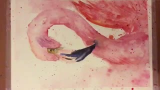 فلامینگو....