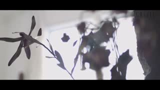 sehun &kai نظر دونت فورگتتتتت..لایک کنین خوبه ها!:////