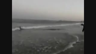 ماهیگیری با قلاب