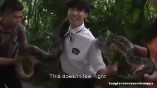 bts in zoo