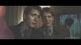 Hermione + Fred || HP || Shut Up & Dance