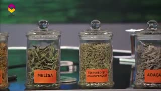 برنامه شماره *15*پروفسور ساراچ اوغلو-19 دی 94