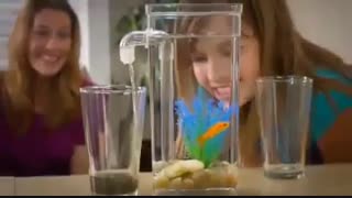 آکواریوم جادویی Fun Fish