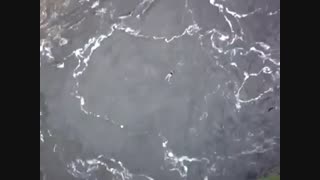 وای کی حاضره این کارو بکنه؟