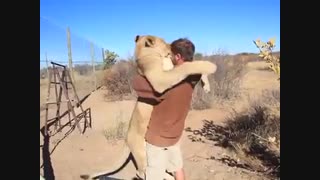 چقدر دوست دارن همو:)