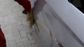 کارواش بخار, بخارشوی صنعتی, بخارشور مخصوص شستشوی ماشین