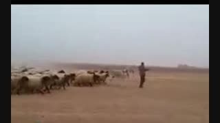 حمله داعش به ایران و رژه حماسی اونها