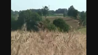 خدایا یکی رو به تور ماهی گیریم بنداز که باهاش حرف بزنم چرا هیچ کس اینجا نیسسسسس