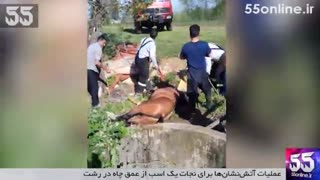 عملیات آتش‌نشان‌ها برای نجات یک اسب از عمق چاه در رشت