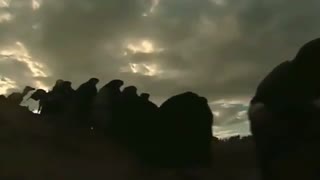 خداحافظ ای شهر آزارها ...