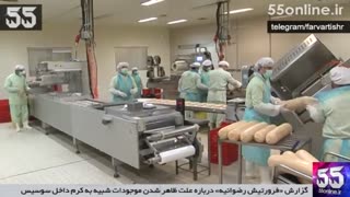 علت ظاهر شدن موجودات شبیه به کرم داخل سوسیس