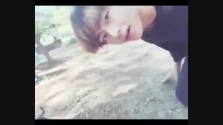 BTS V with animals , JHope with dog -