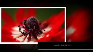 تقدیم به متولدین اردیبهشت ماه خصوصا علاقهمندان به این کانال >>تولدتون مبارک<<