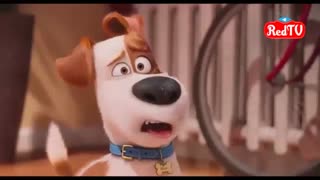 تیزر انیمیشن بی نظیر The Secret Life of Pets - با زیرنویس