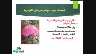 گانودرما لوسیدوم