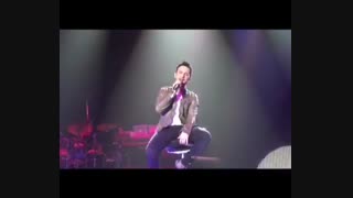 کنسرت تارکان