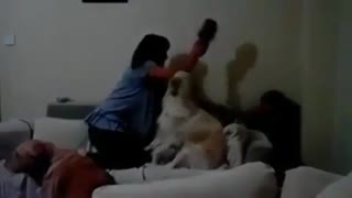 حمایت این دو سگ از بچه که مامانش دعواش نکنه.....