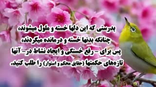 شادی و نشاط در رسیدن به حکمت است.