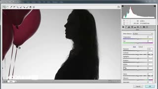 آموزش عکاسی  -آموزش گرفتن عکس سیلوئت ( ضد نور ) با یک شاخه نور