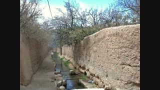 اگر داغ رسم قدیم شقایق نبود : قیصر امین پور با دکلمه رضا پیر بادیان