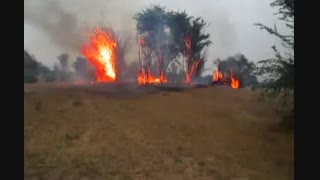 آتش سوزی در منطقه جنگلی ام الدبس بستان