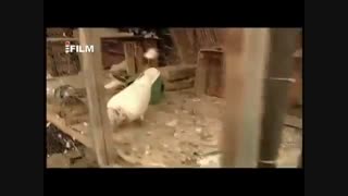 اغل اقا ماشالله::/فوق العاده خنده دار..★