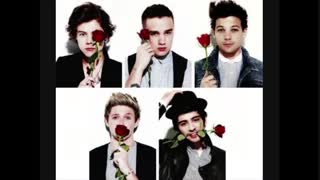 مسخره بازی وان دایرکشن5