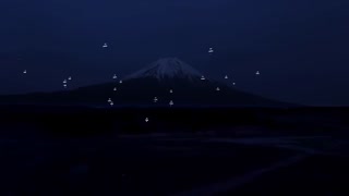 حرکت موزون پهپادهای شب تاب در آسمان ژاپن